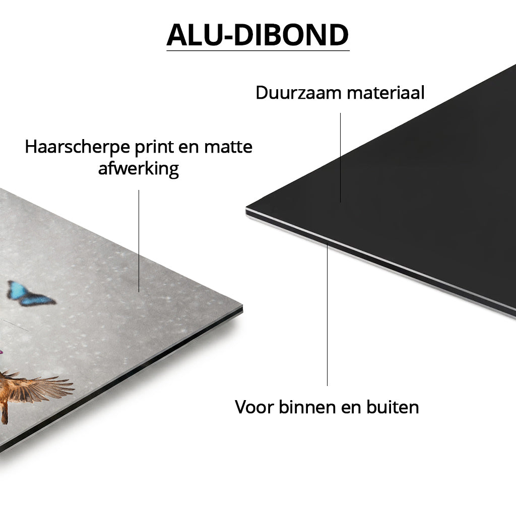 Flower Explosion #1 Light