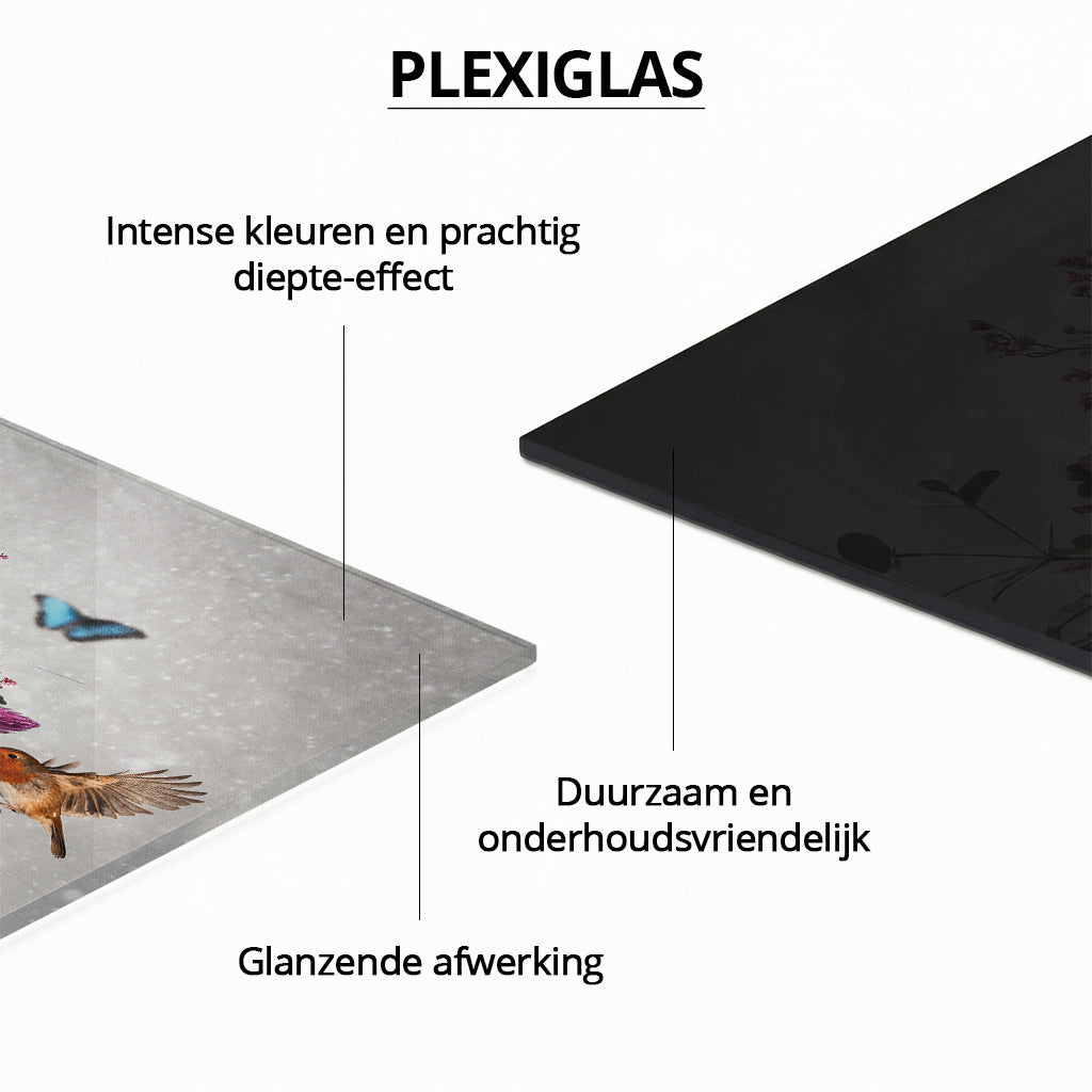 Flower Explosion #1 Light