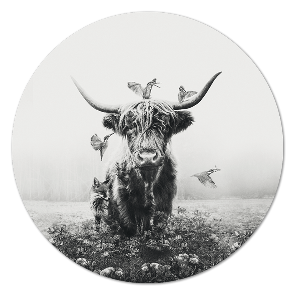 White Highlander RND