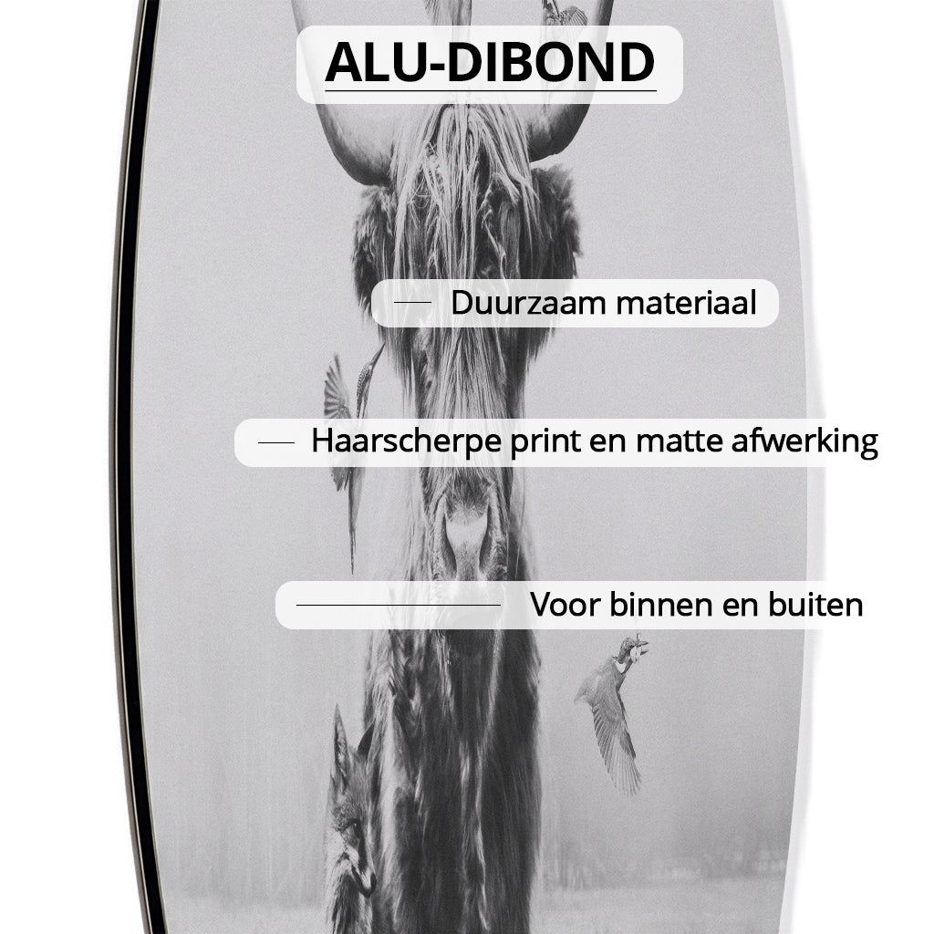 White Highlander RND