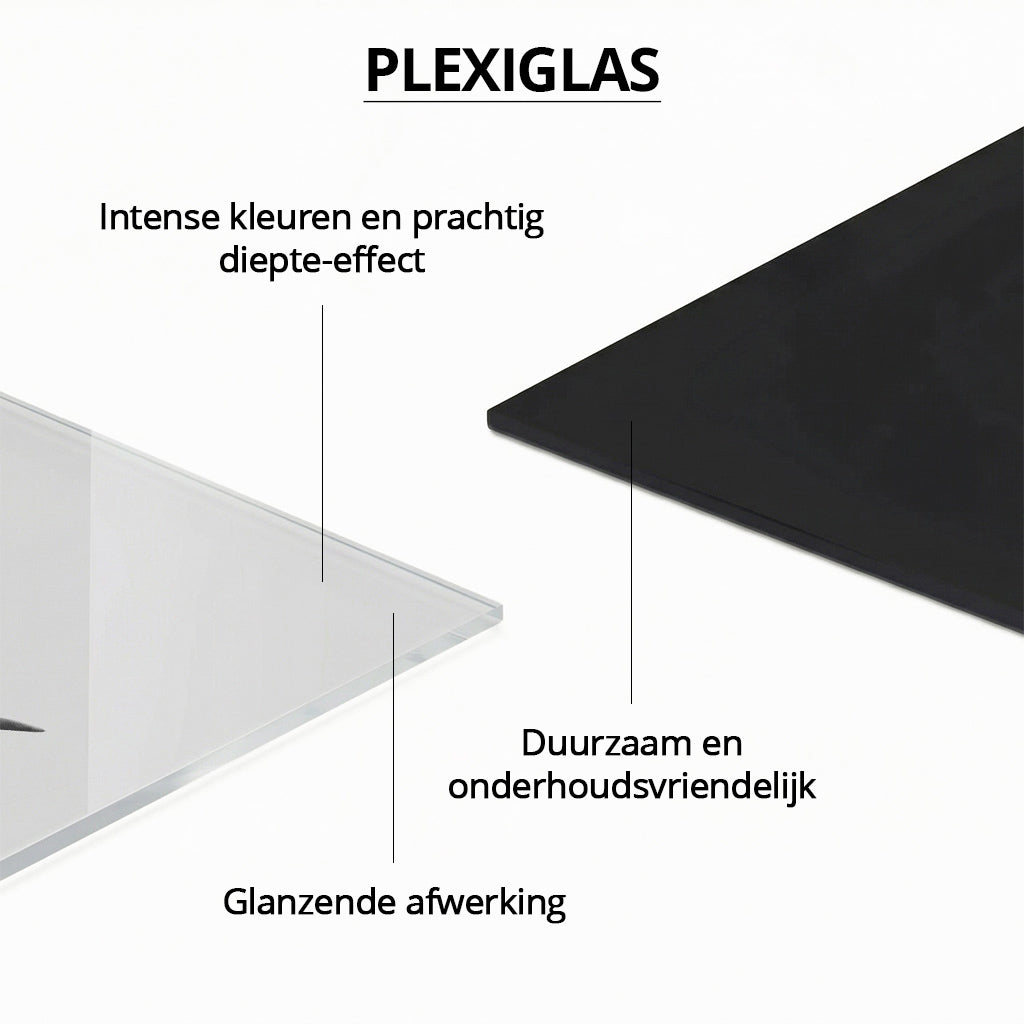 White Highlander PAN