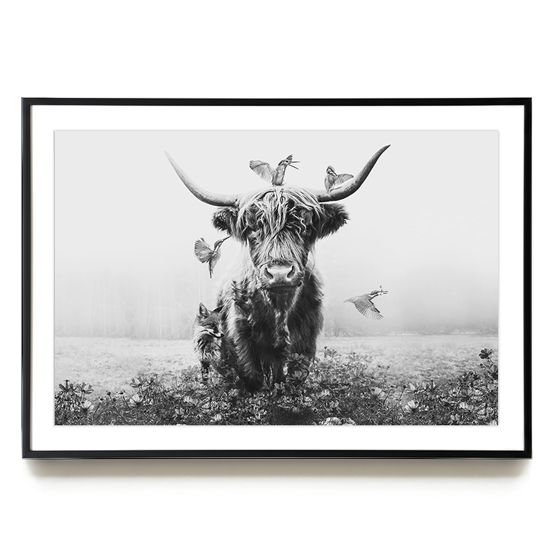 White Highlander LS EU