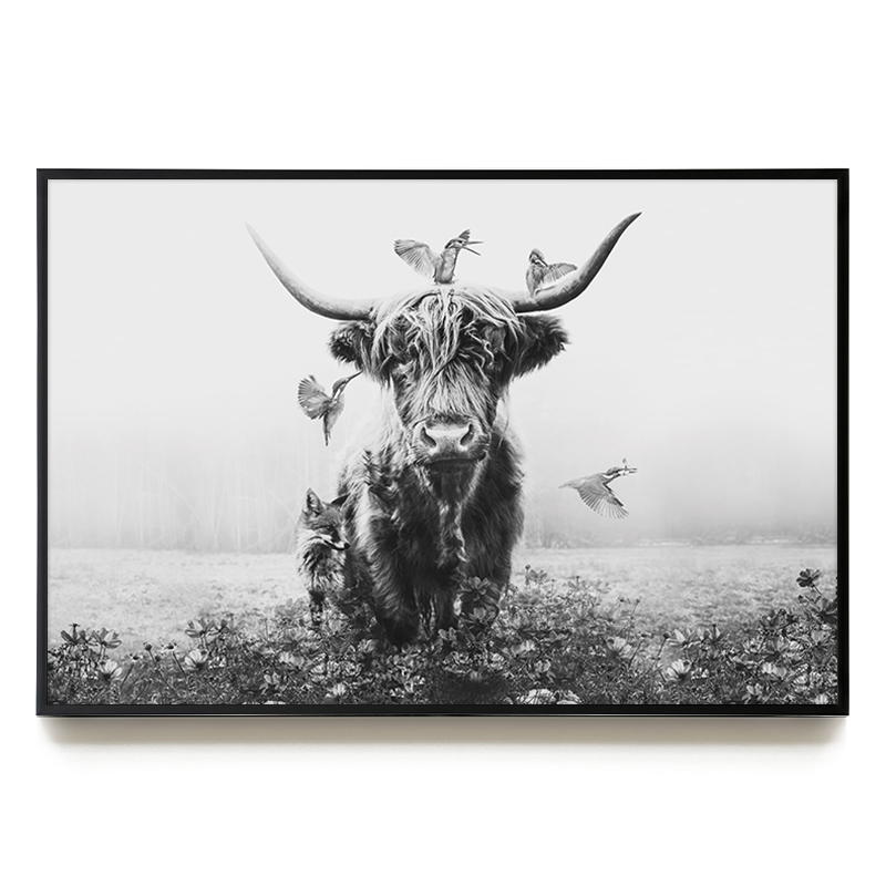 White Highlander LS EU