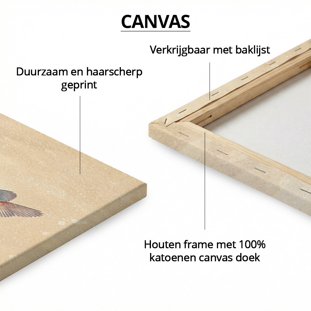World of Kingfishers LS