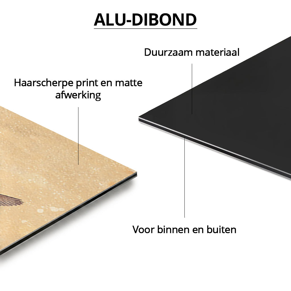 World of Kingfishers LS