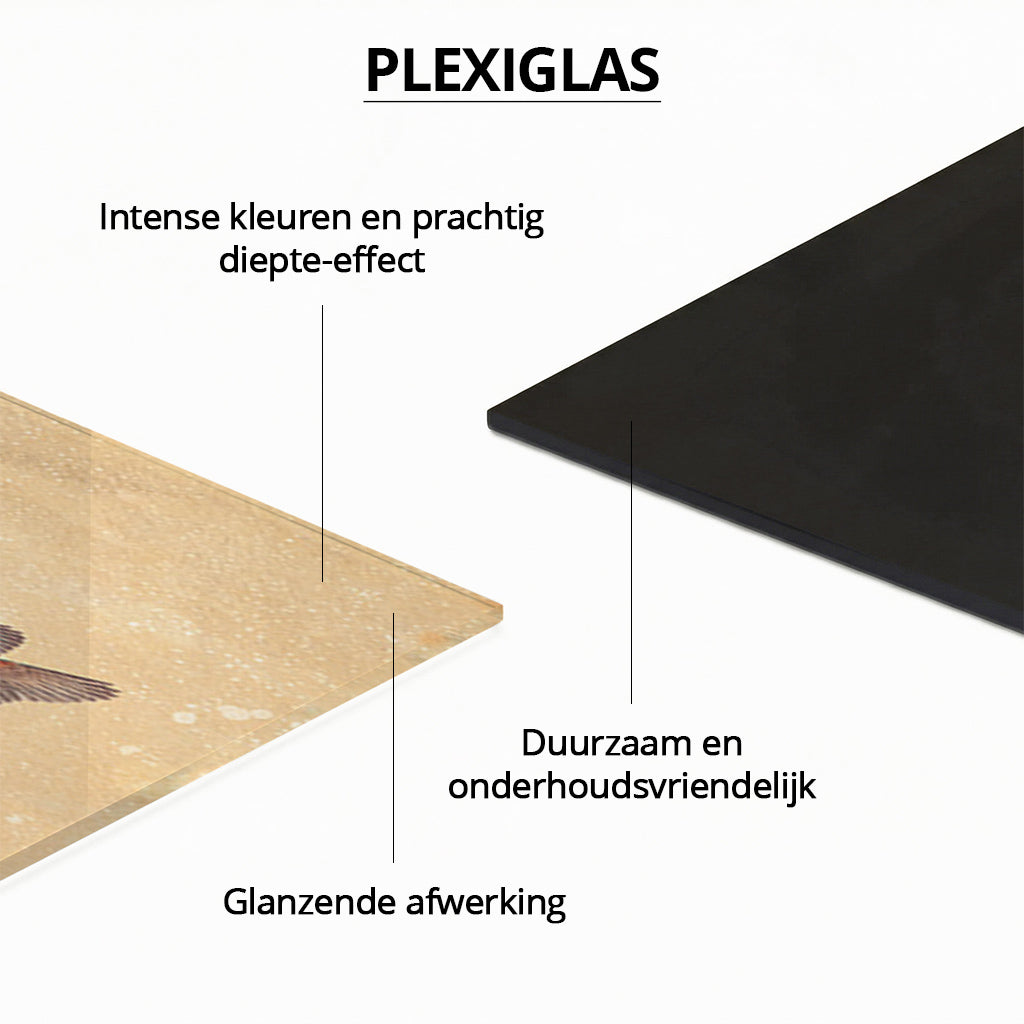 World of Kingfishers LS