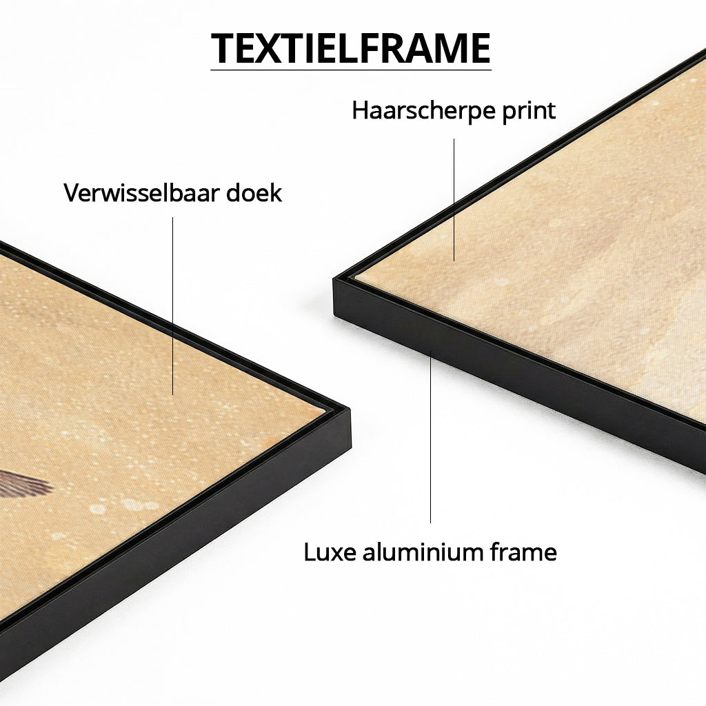 World of Kingfishers LS