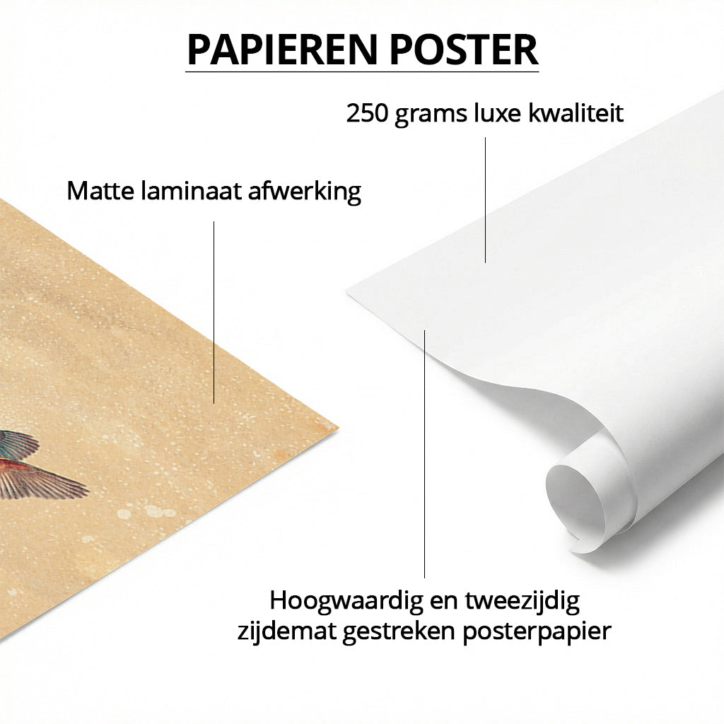 World of Kingfishers